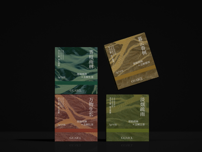 云南原始雨林茶包装设计